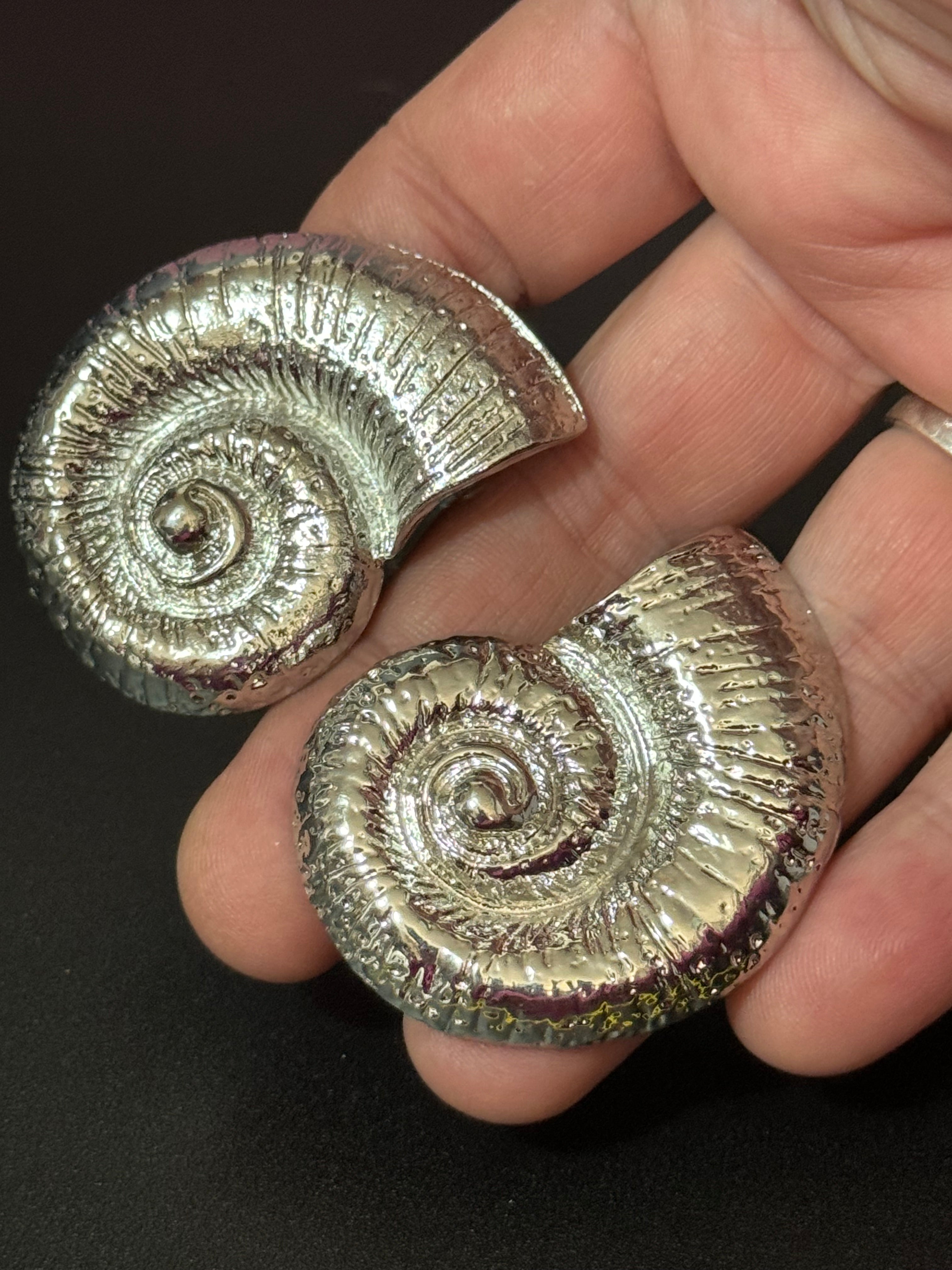 Oversized silver tone sea shell ammonite nautical earrings pierced