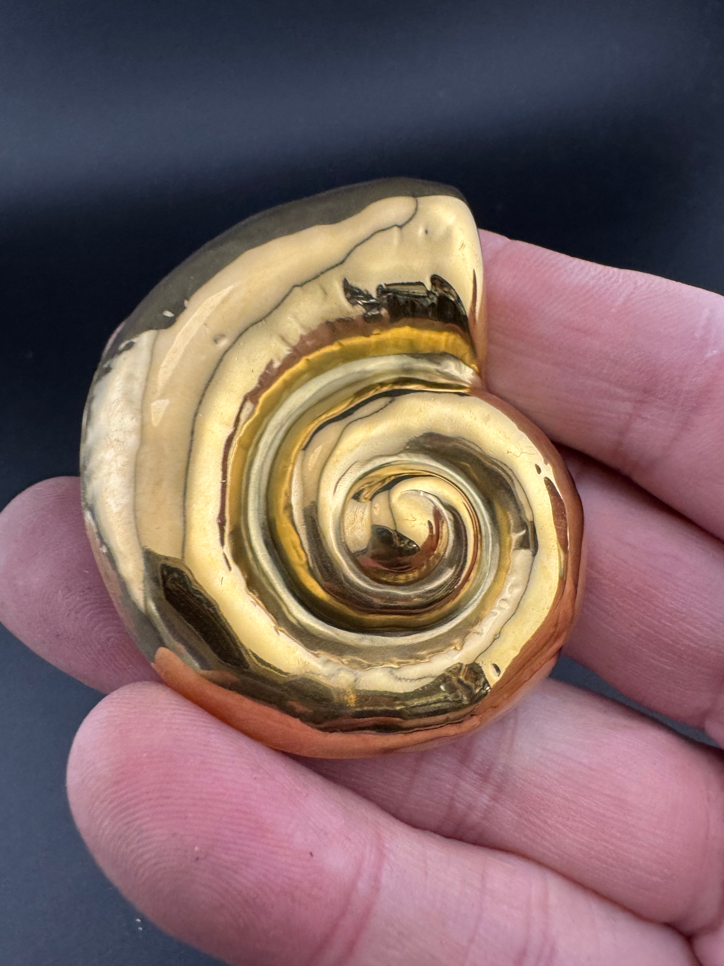 Large ammonite gold tone seashell brooch nautical style