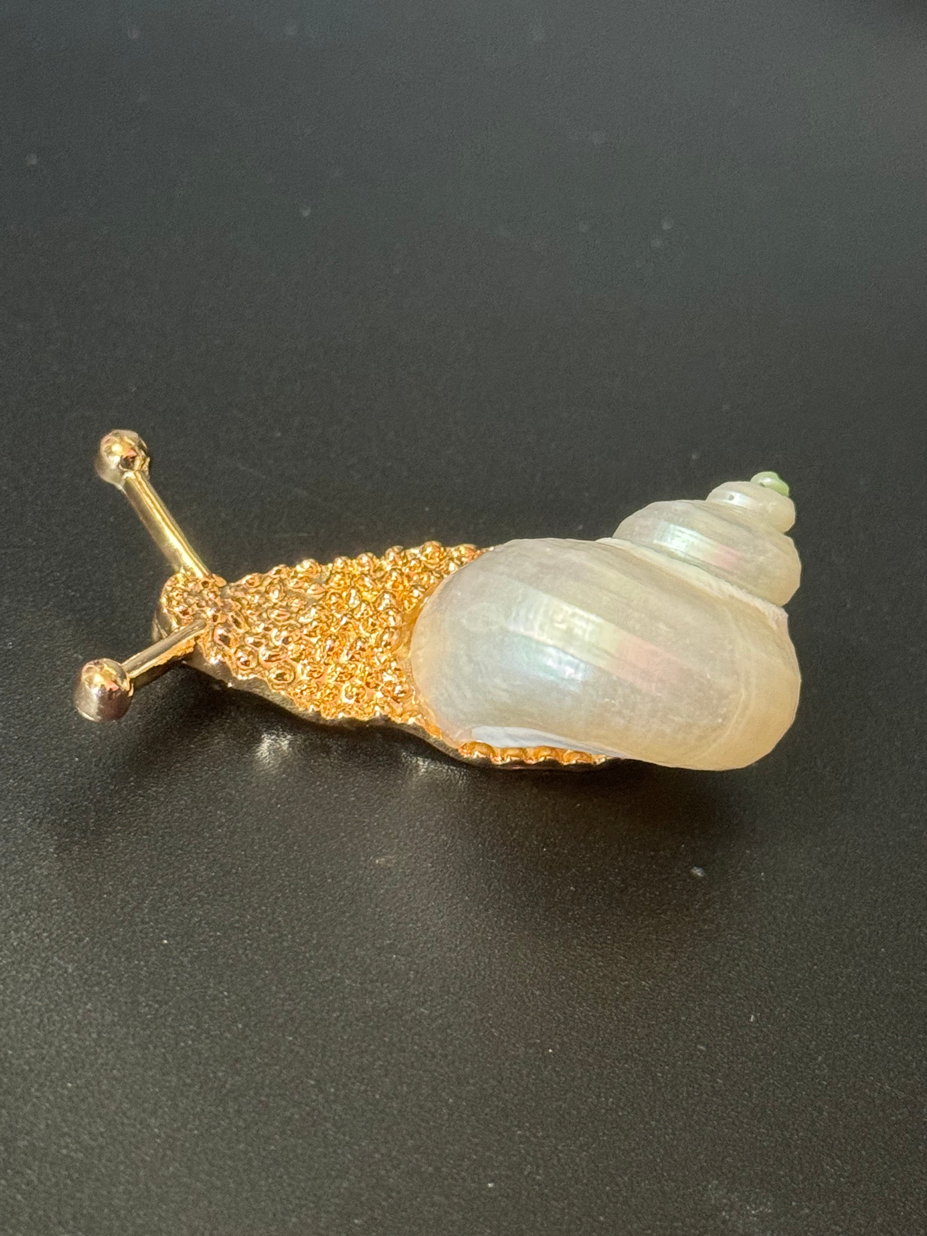 White seashell gold tone snail brooch