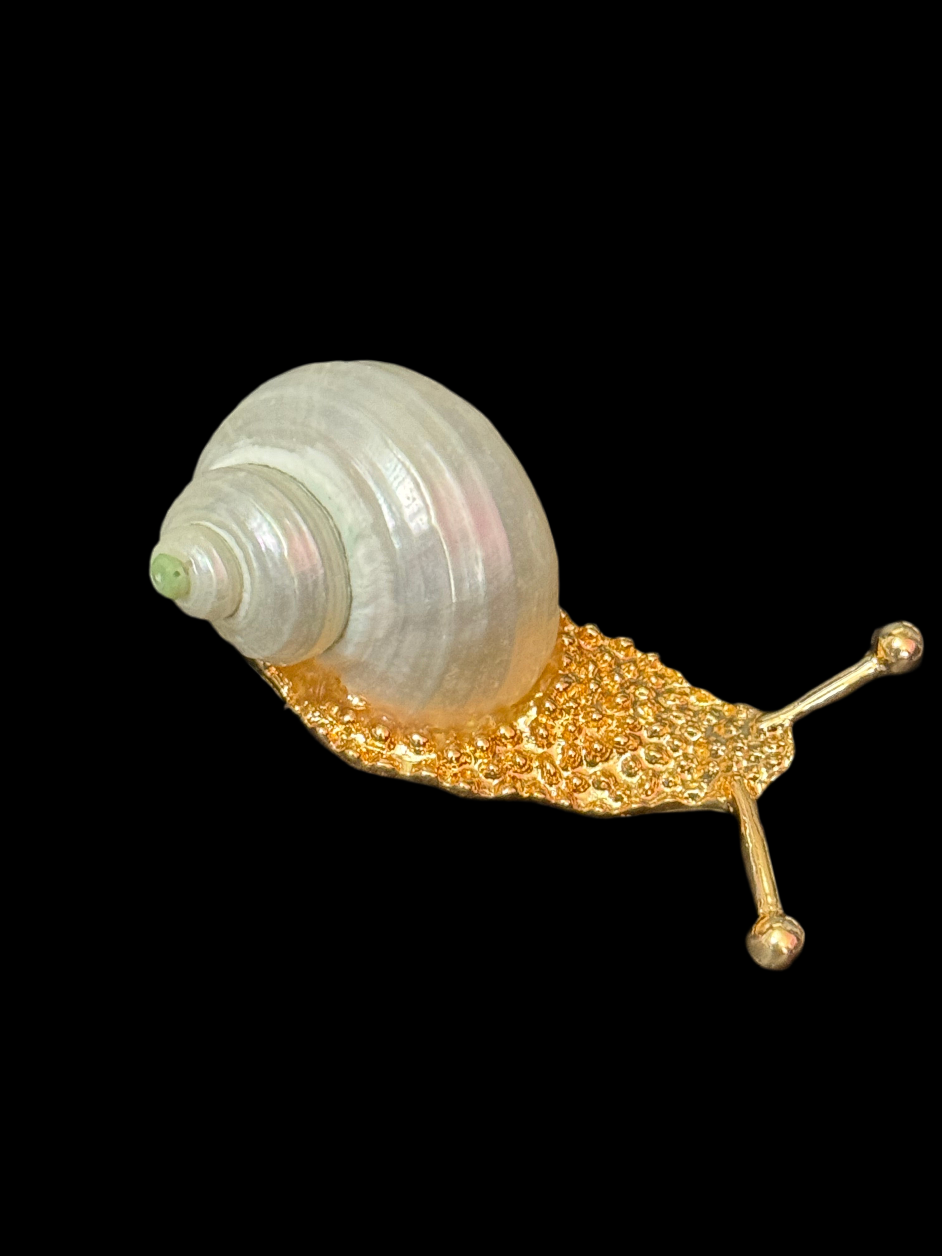 White seashell gold tone snail brooch