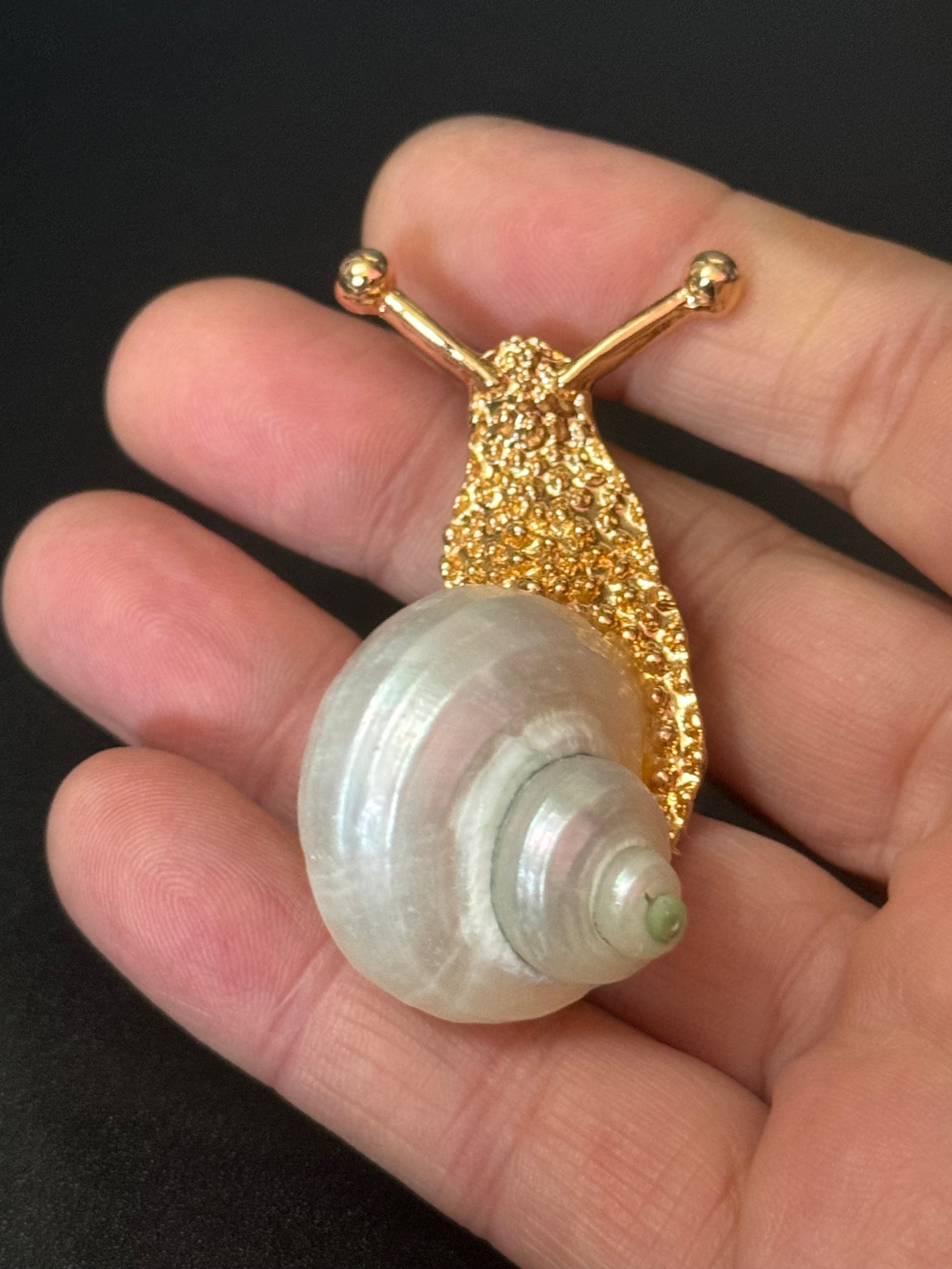 White seashell gold tone snail brooch