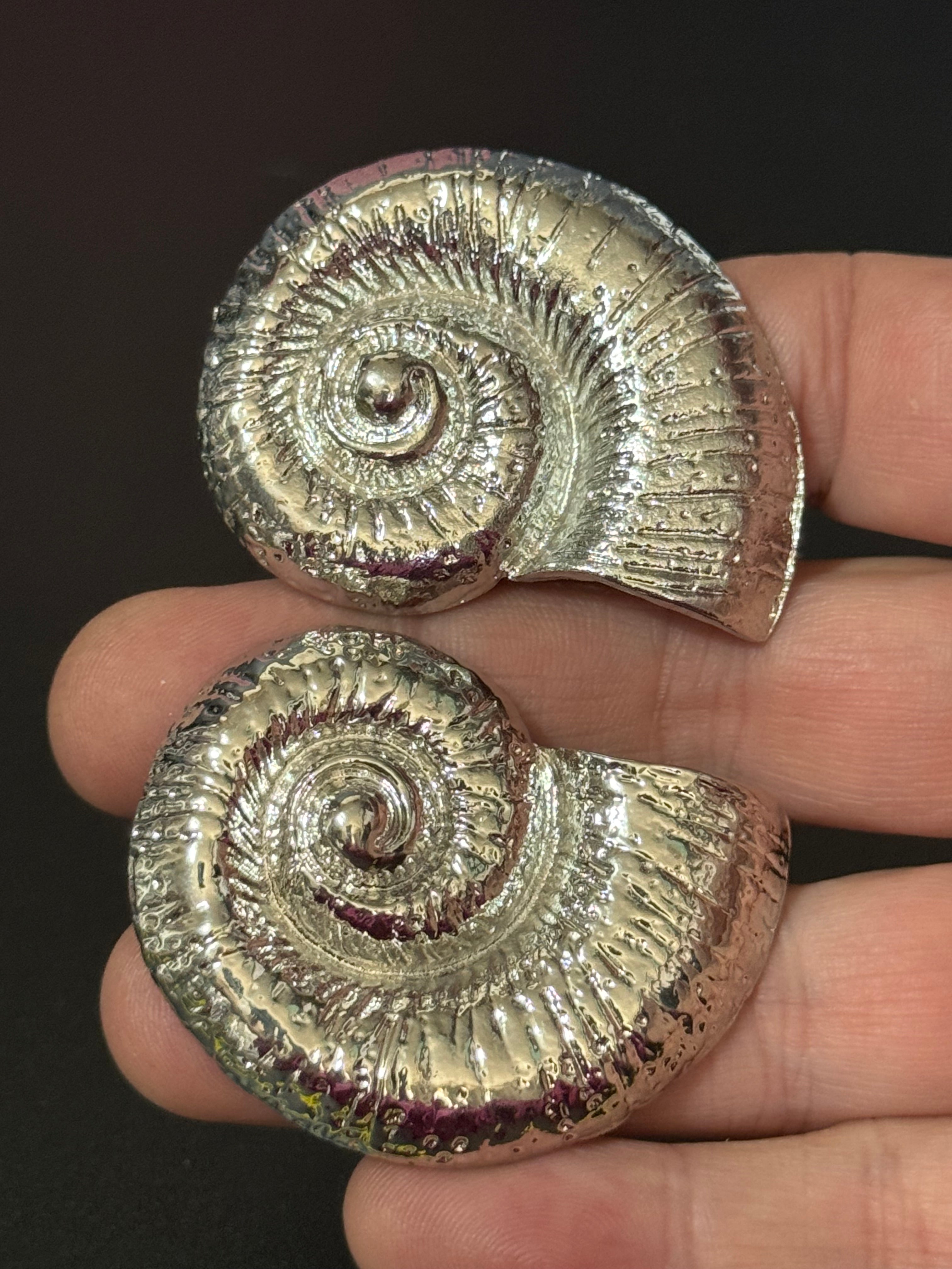 Oversized silver tone sea shell ammonite nautical earrings pierced