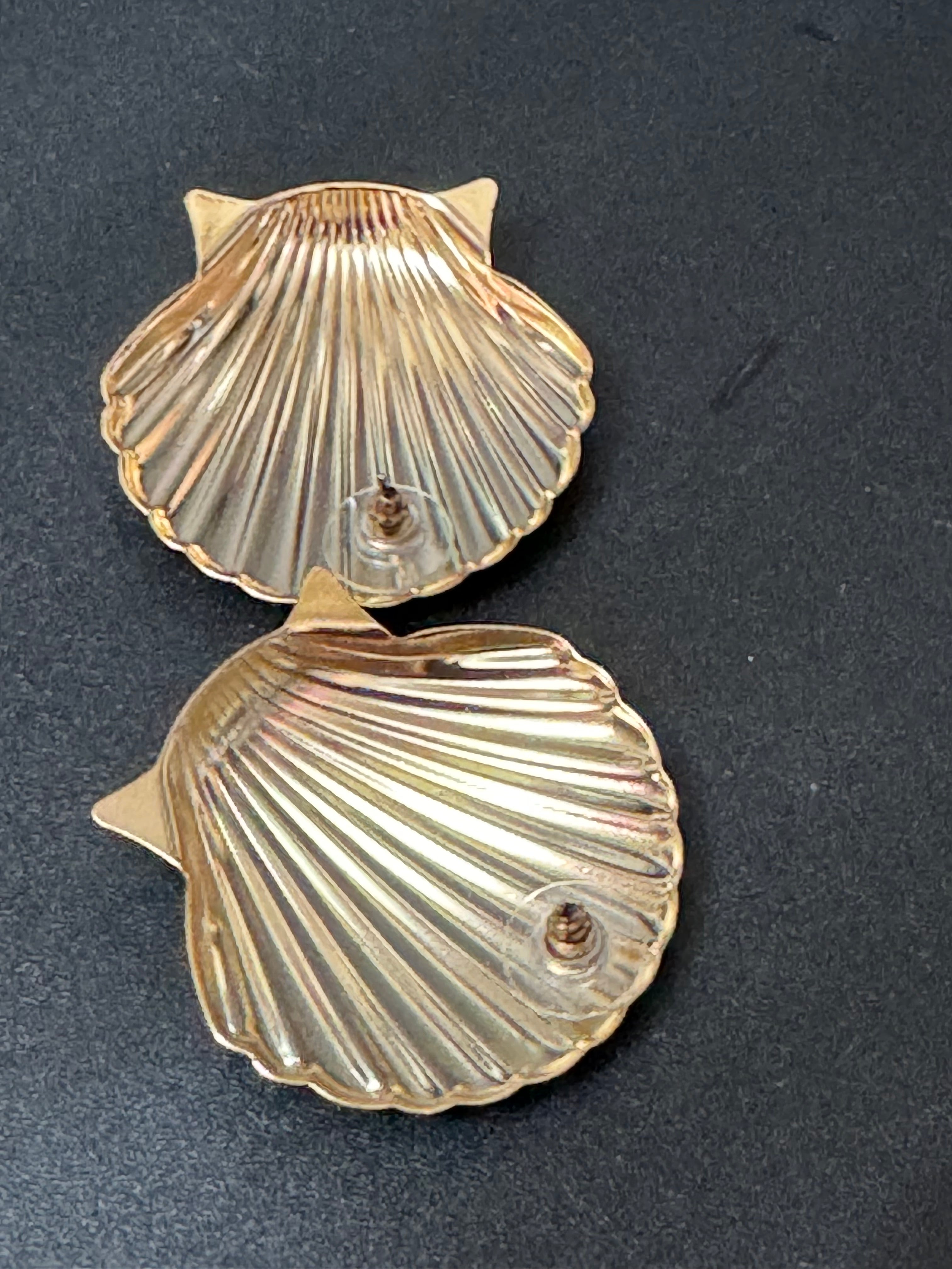 Nautical Gold tone oversized shell earrings pierced