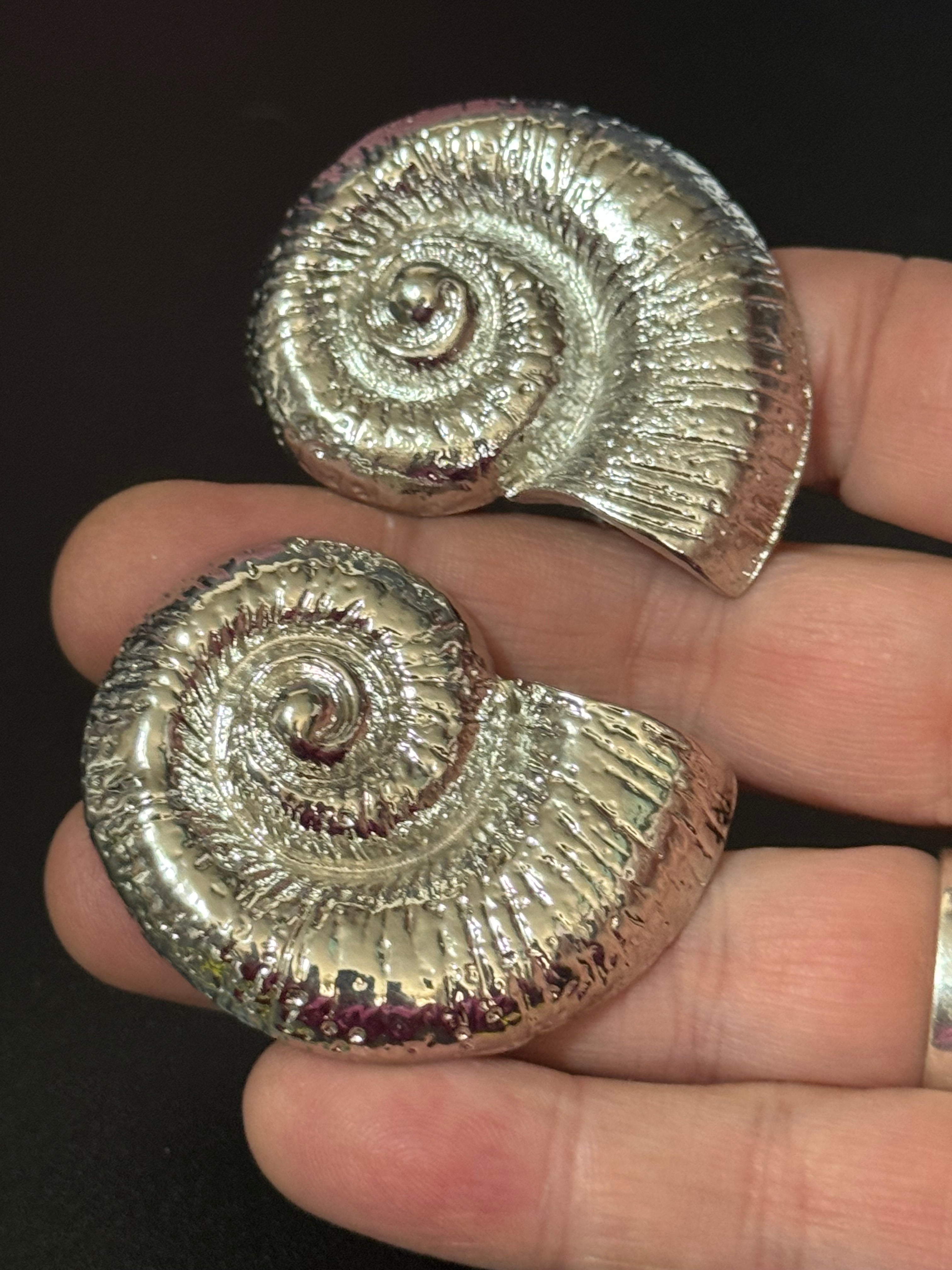 Oversized silver tone sea shell ammonite nautical earrings pierced