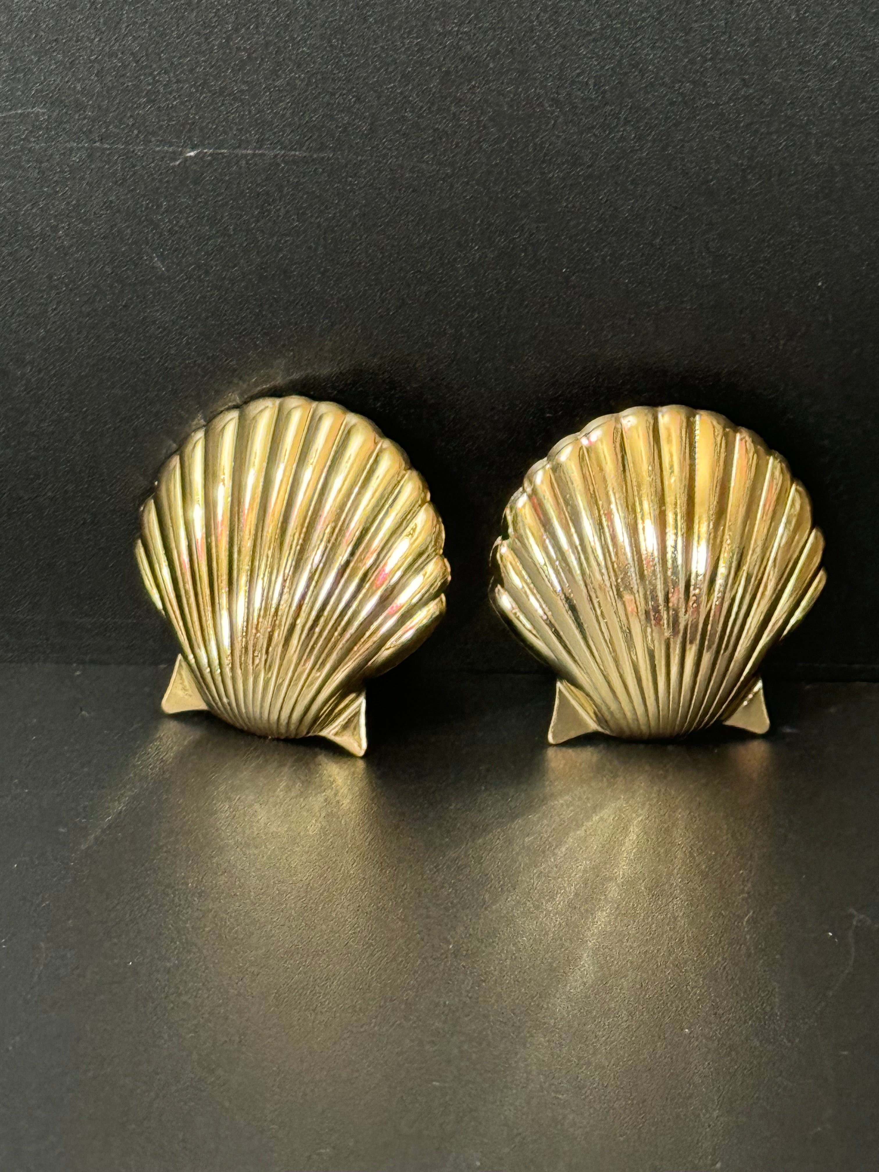 Nautical Gold tone oversized shell earrings pierced