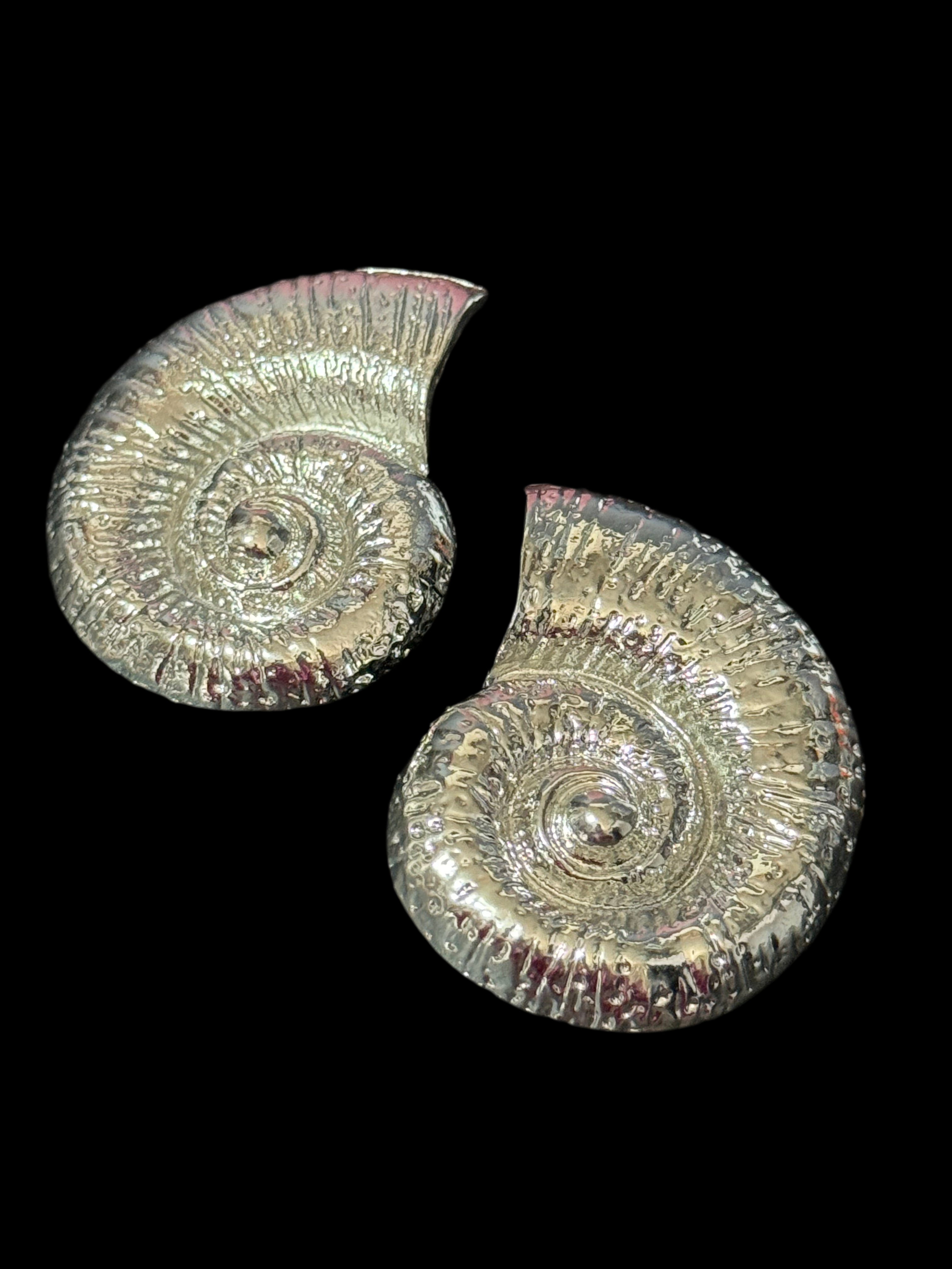 Oversized silver tone sea shell ammonite nautical earrings pierced