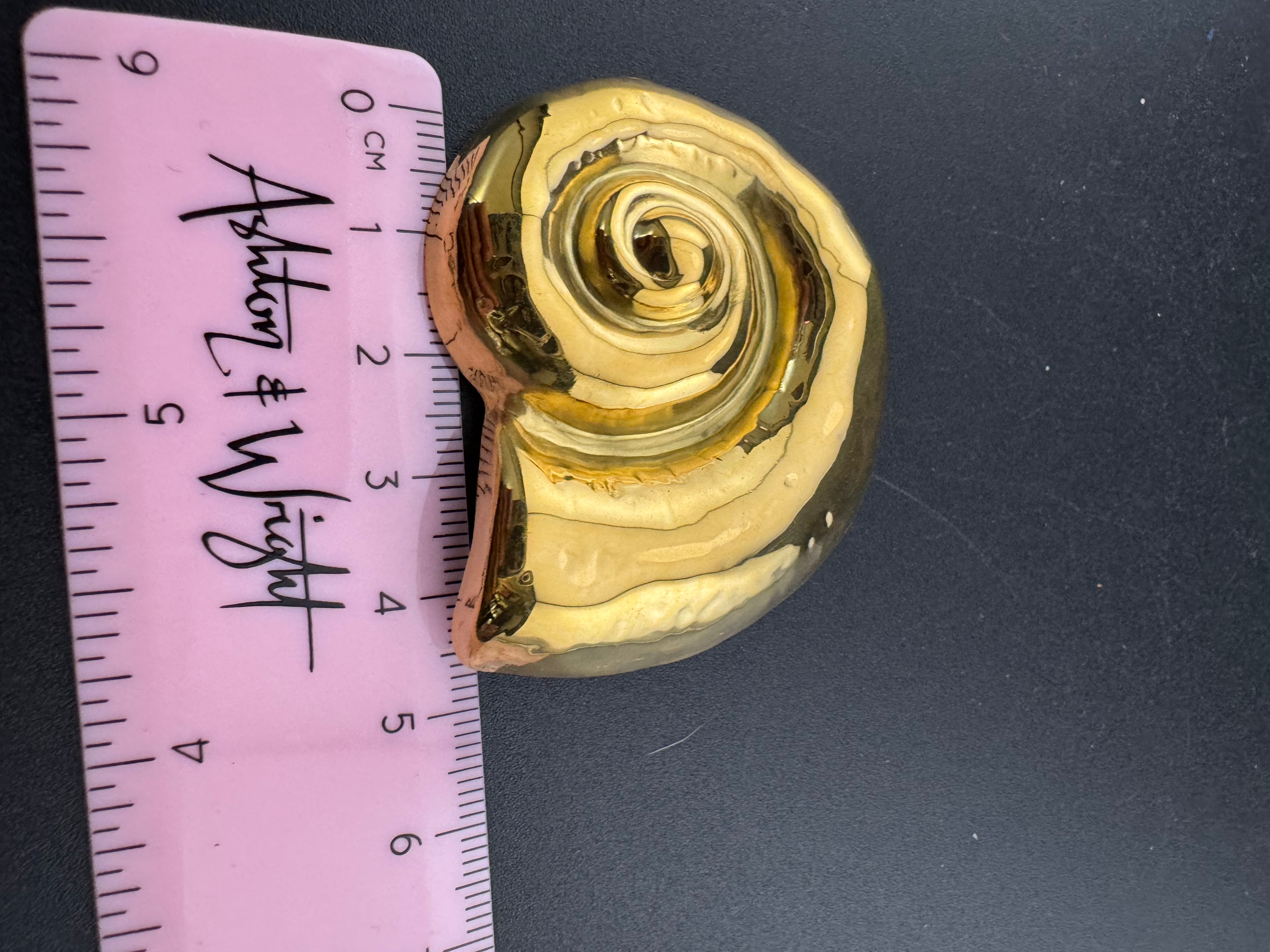 Large ammonite gold tone seashell brooch nautical style