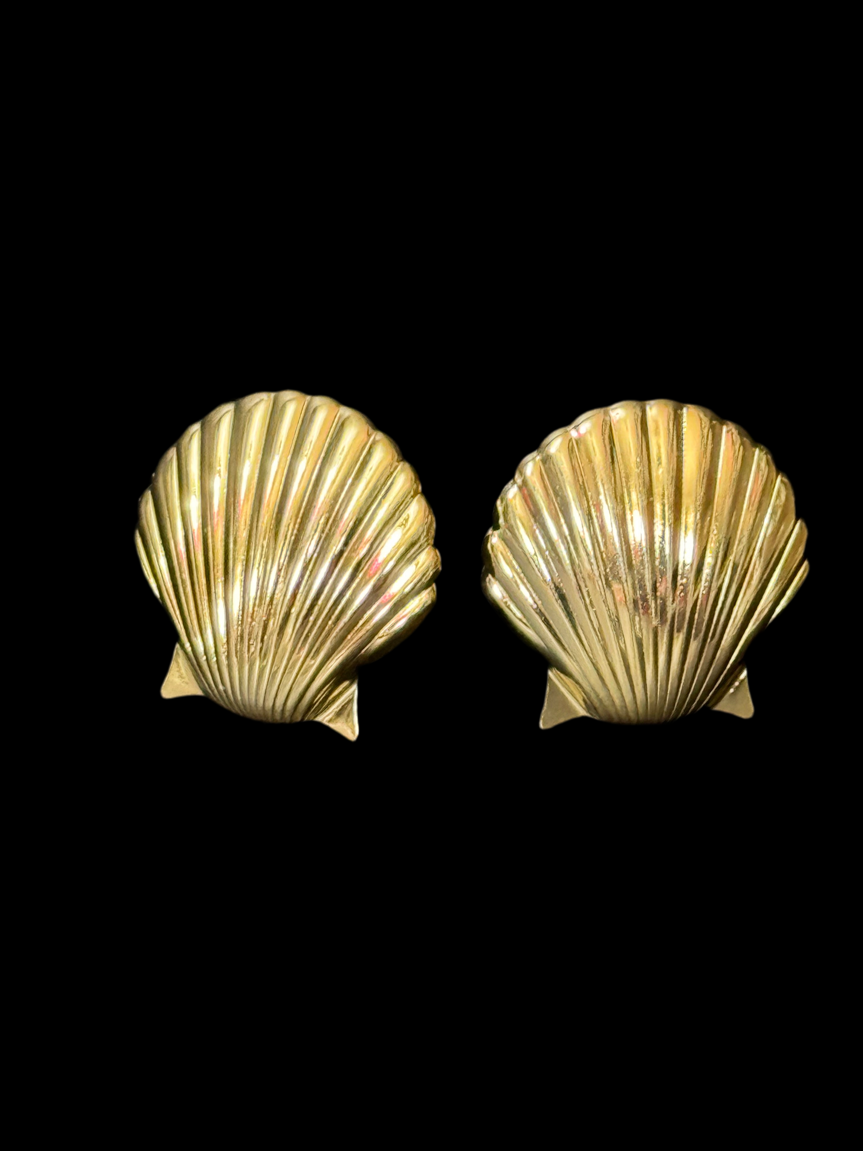 Nautical Gold tone oversized shell earrings pierced