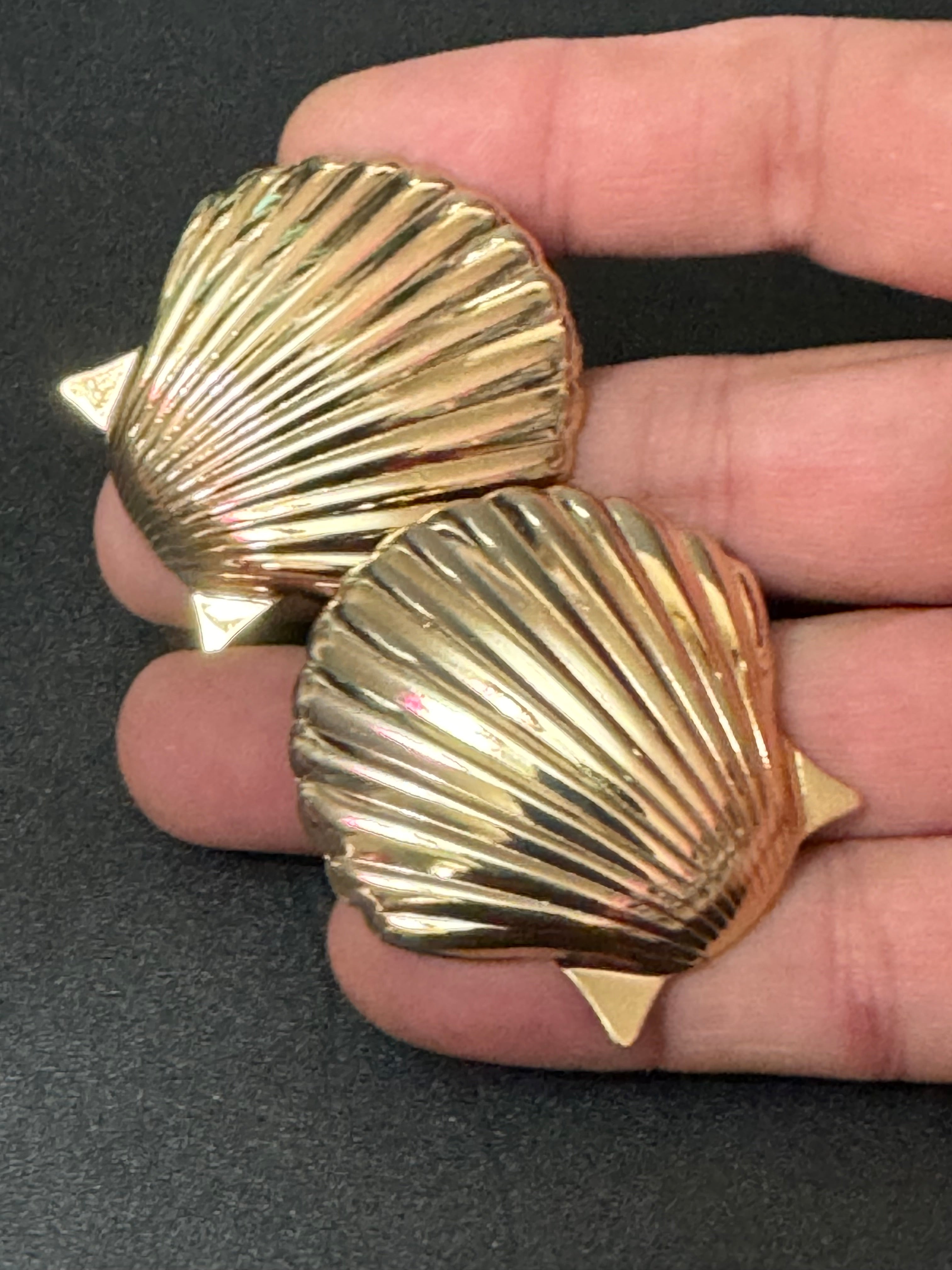 Nautical Gold tone oversized shell earrings pierced