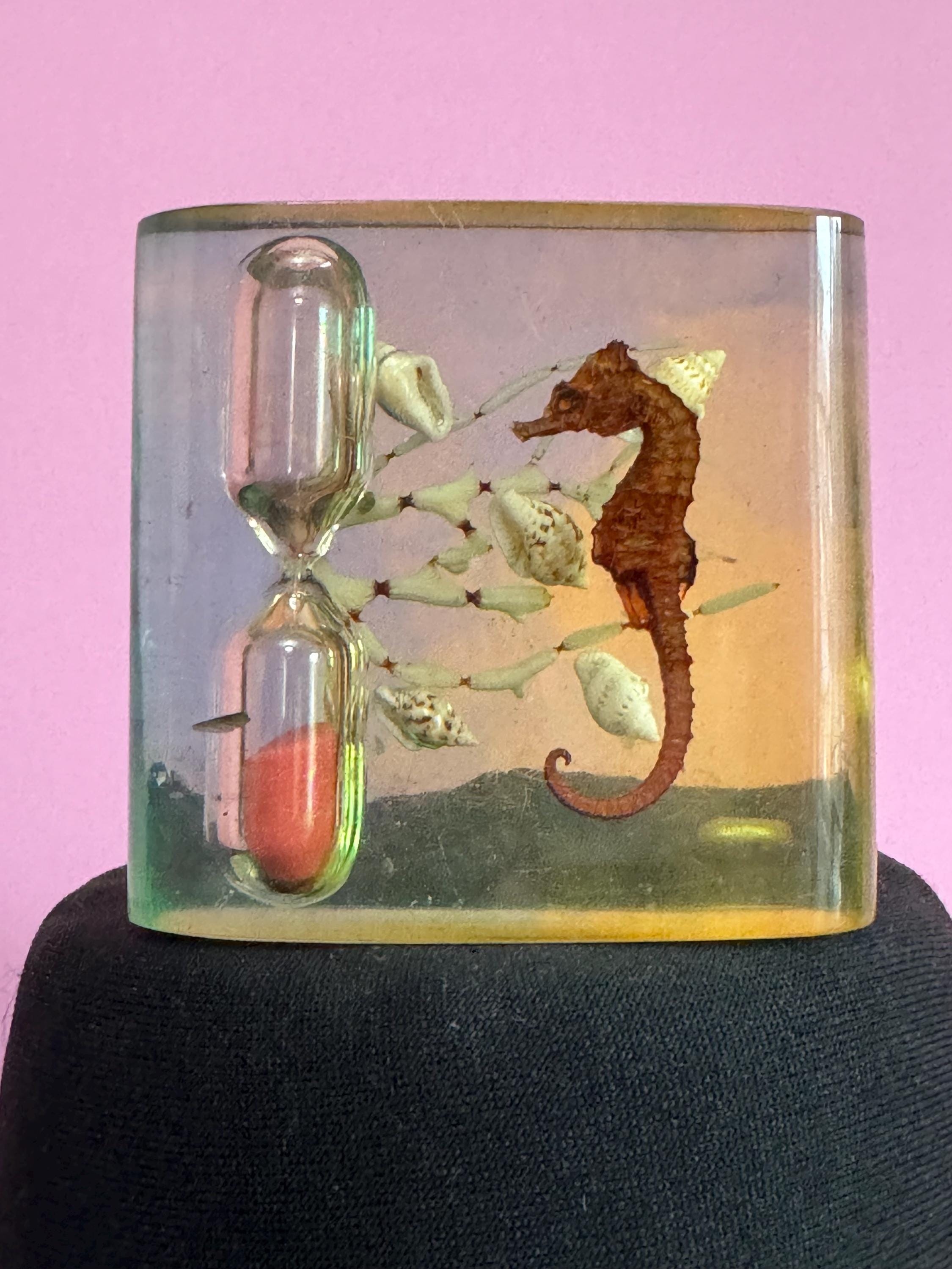 Super kitsch large blue green clear 1960s celluloid lucite egg timer with cased seahorse and seashells